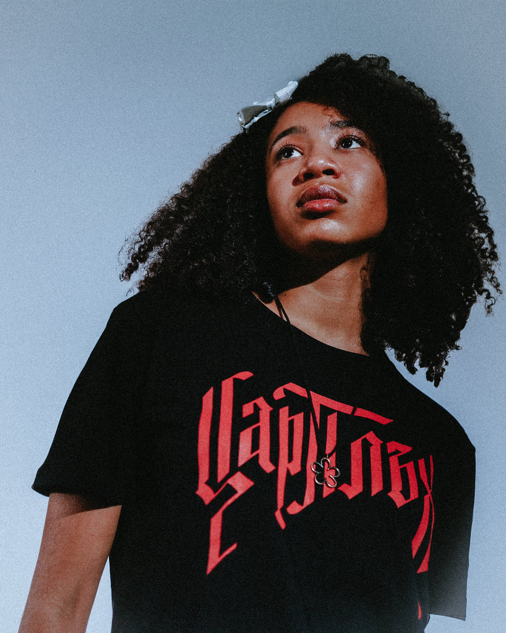 TSAR PLUH T-SHIRT 'Най-после тишина'